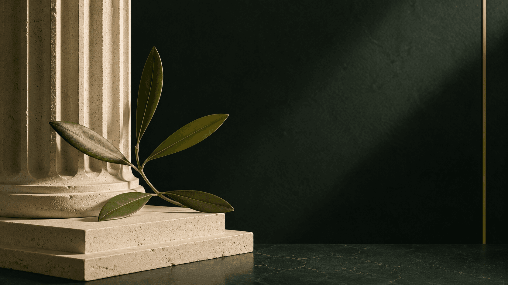 A fragment of pale stone meeting a single green leaf, ancient form in a modern setting
