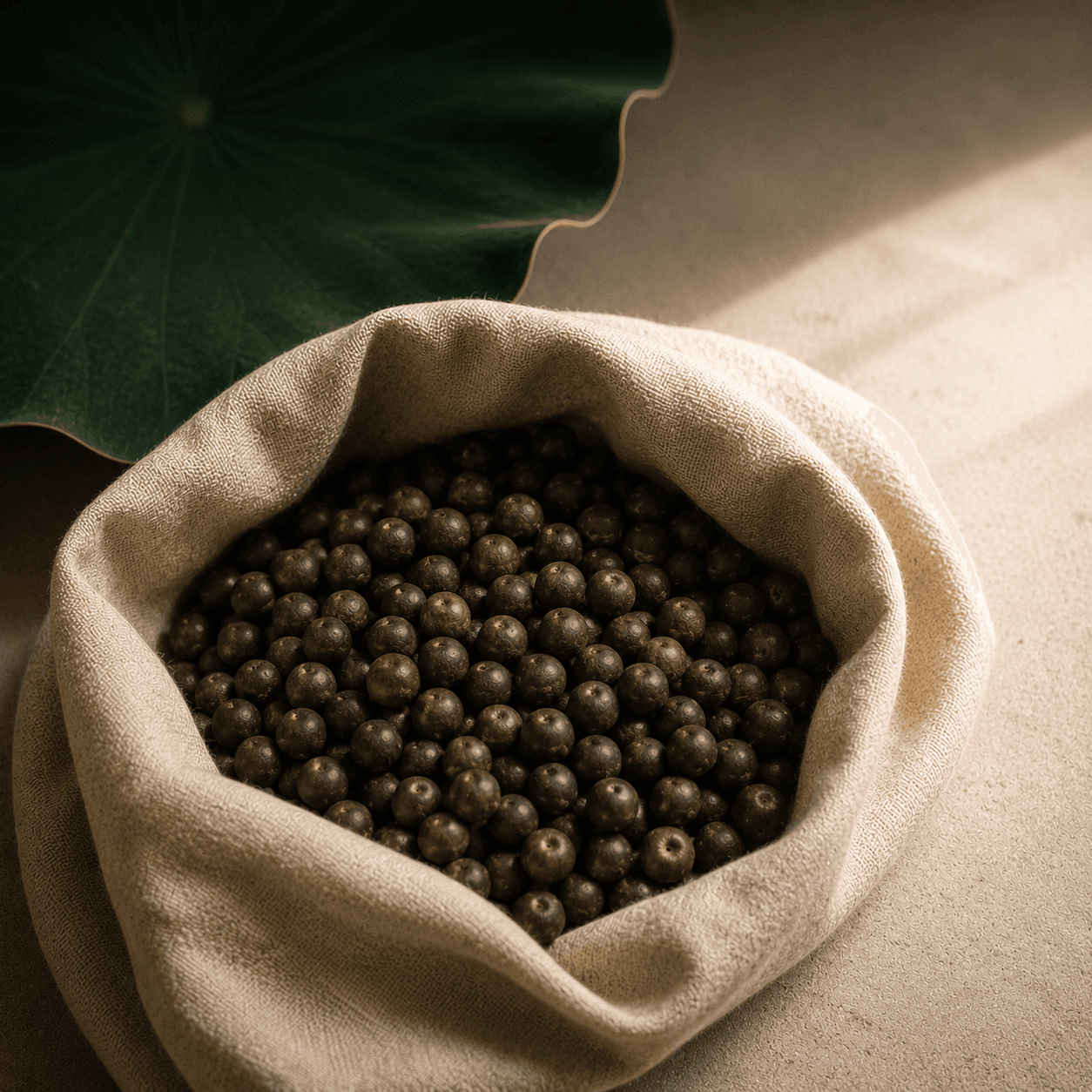 Raw makhana seeds in natural linen